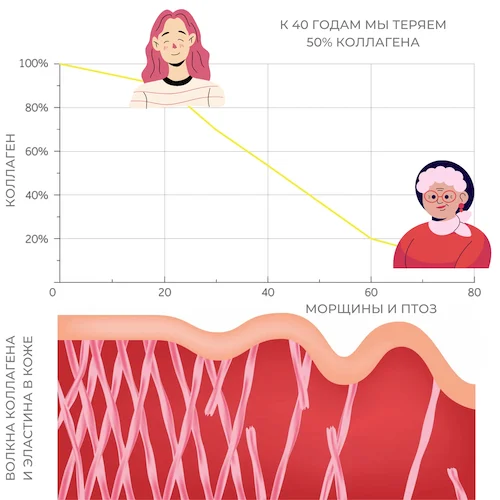 Как уменьшается количество коллагена с возрастом